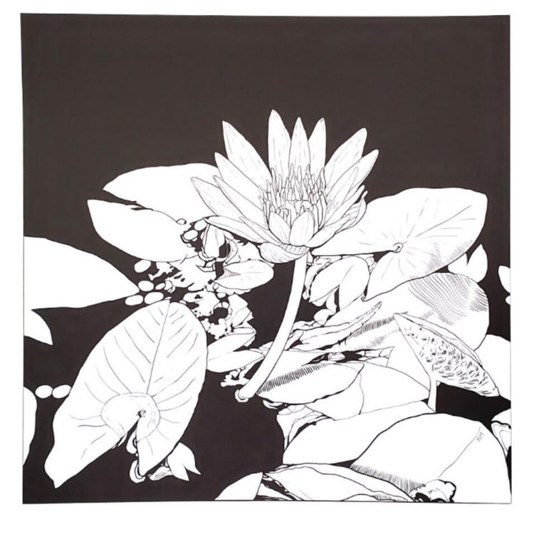 Water Lily by YIMKEYS