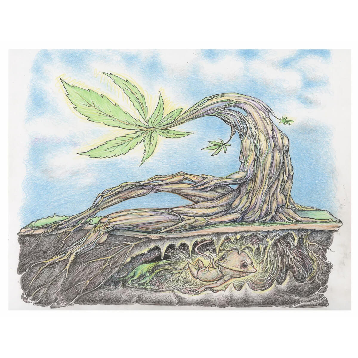 Weed Seed (Drawing)