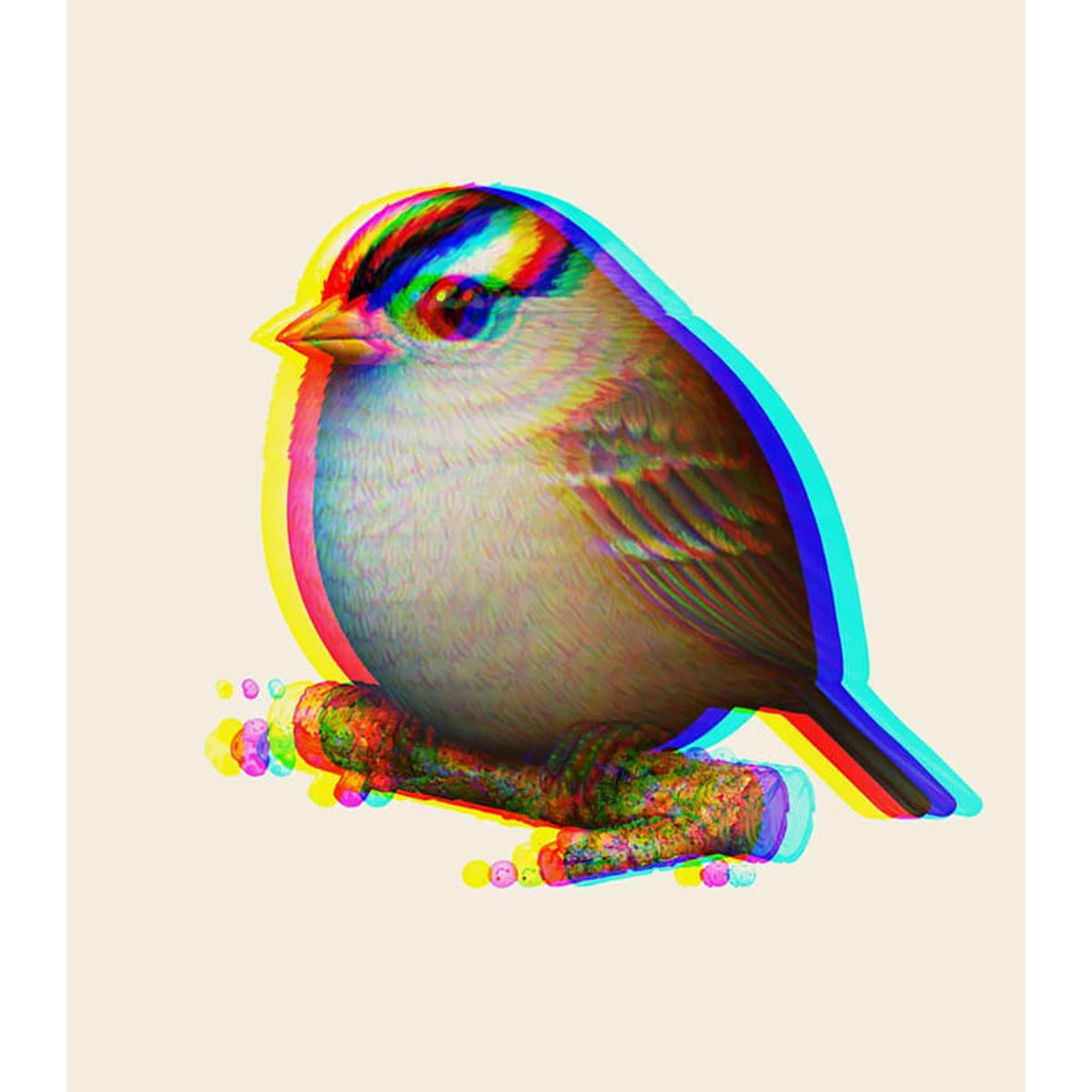 White-Crowned Sparrow (Printing Error)