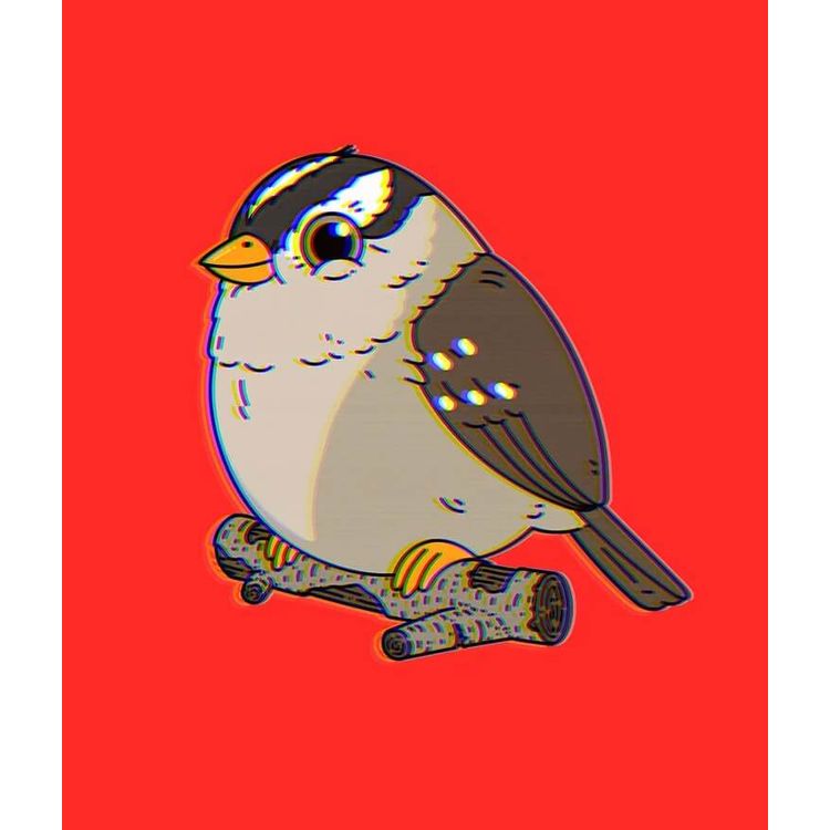 White-Crowned Sparrow (Saturday Morning Variant) by Mike Mitchell