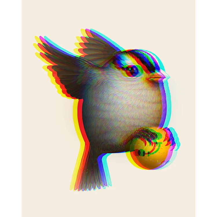 White-Crowned Sparrow Companion (Printing Error) by Mike Mitchell