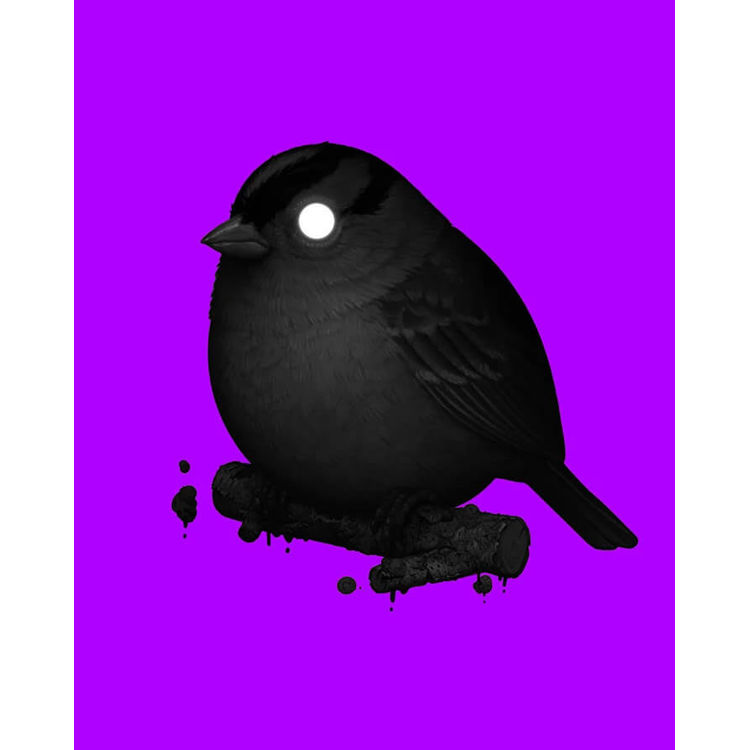 White-Crowned Sparrow Purple Variant by Mike Mitchell