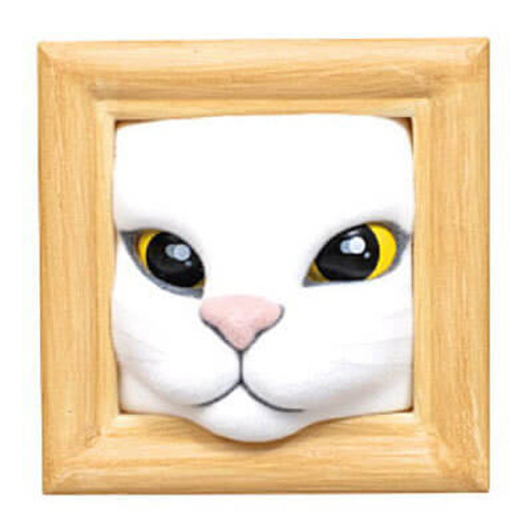 White Cat  by Qualia