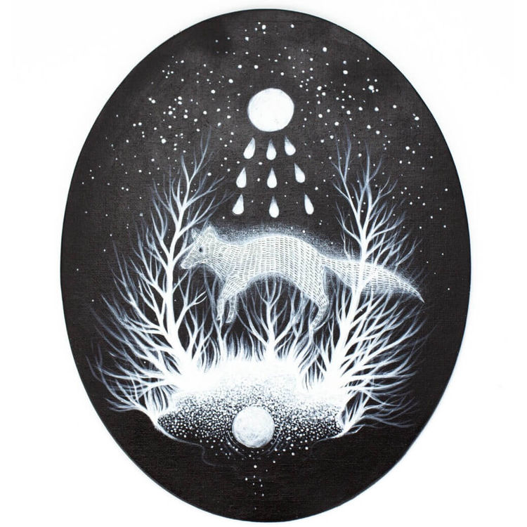 White Fox by Irene Brambilla