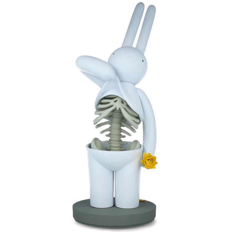 White Ribs of Amour Petit Lapiin by Mr. Clement