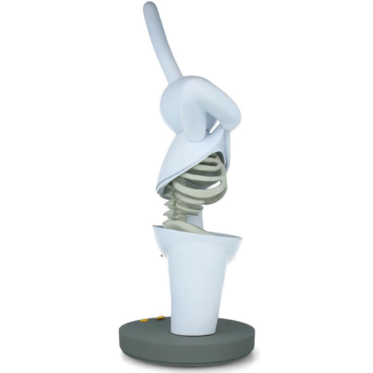 White Ribs of Amour Petit Lapiin