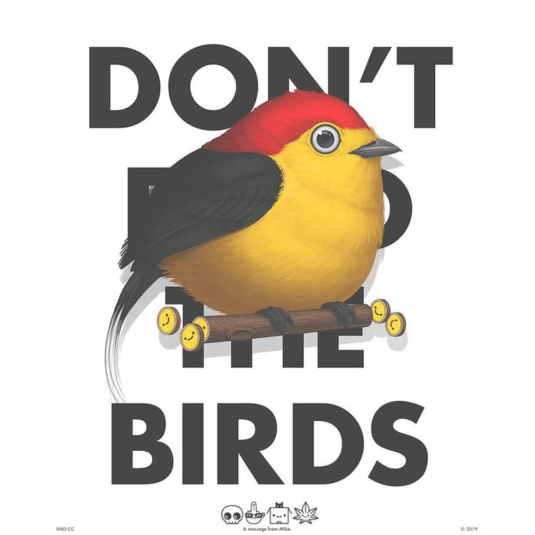 Wire-Tailed Manakin (PSA) by Mike Mitchell