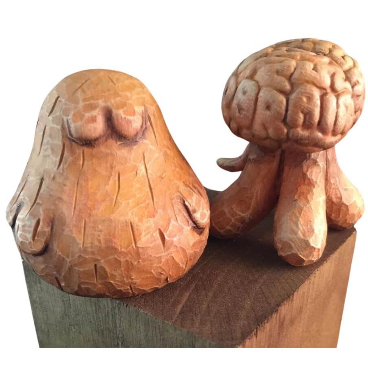 Wooden Mr. Brain