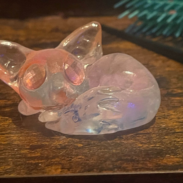 X-Ray Kits by Double Casket Toys