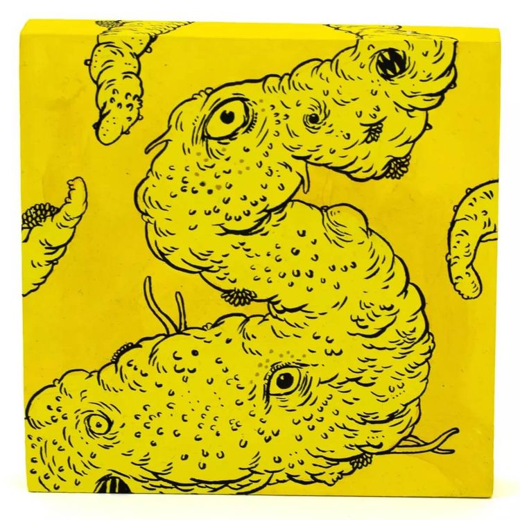 Y – Beholder I by Droldn
