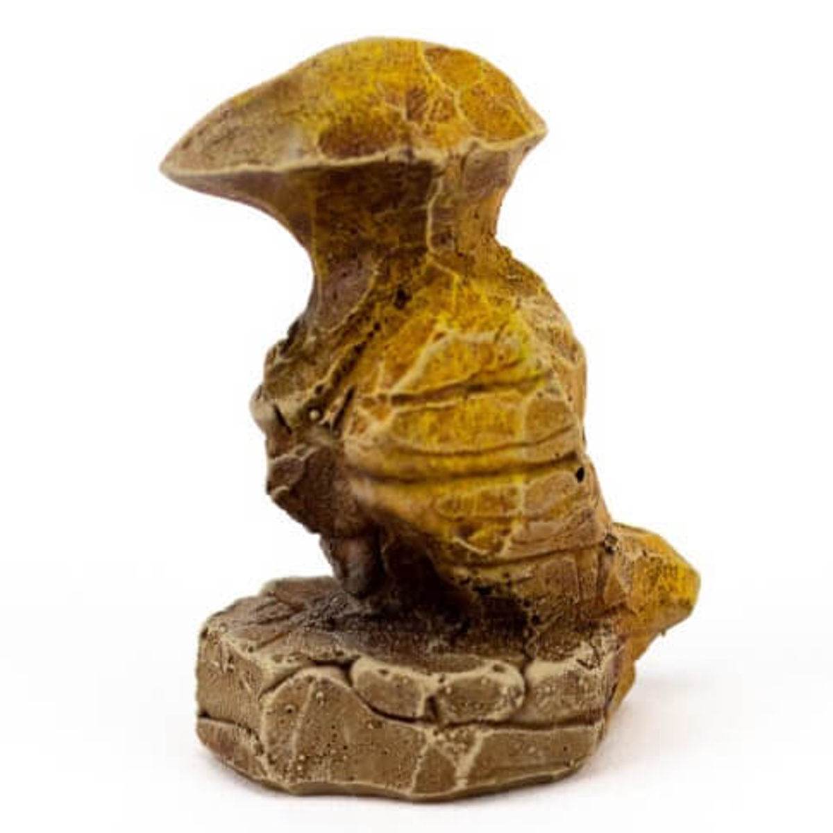 Y – Honey-Mustard mini-Rhools