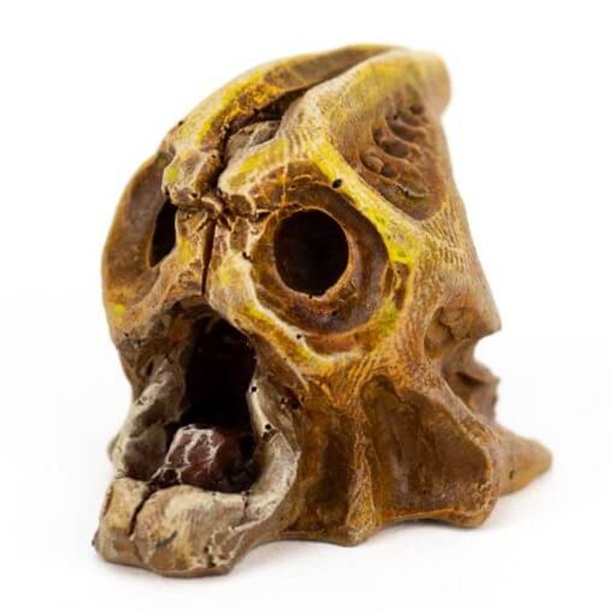 Y – Honey-mustard Zuurn