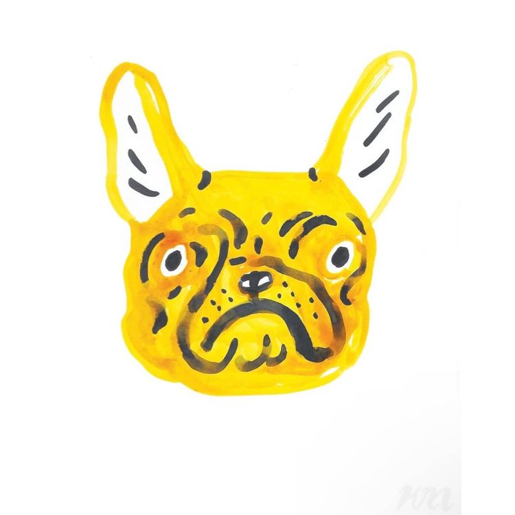 Yellow Frenchie Dog Head Print by Kristina Micotti