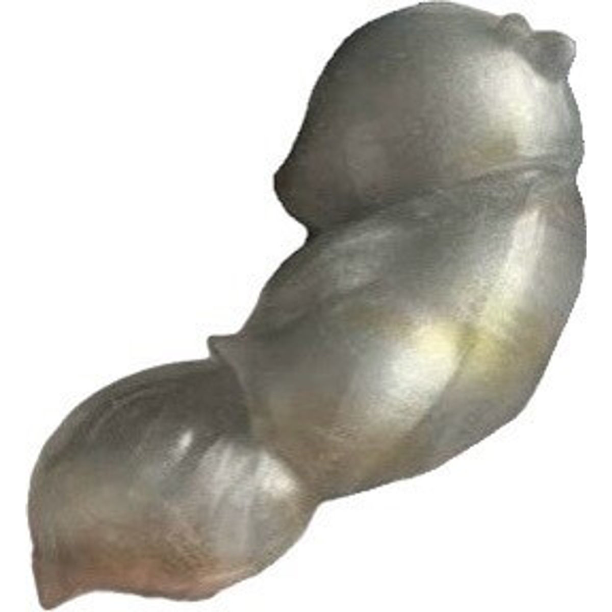 Yourinnkaku Silver Sacred Water