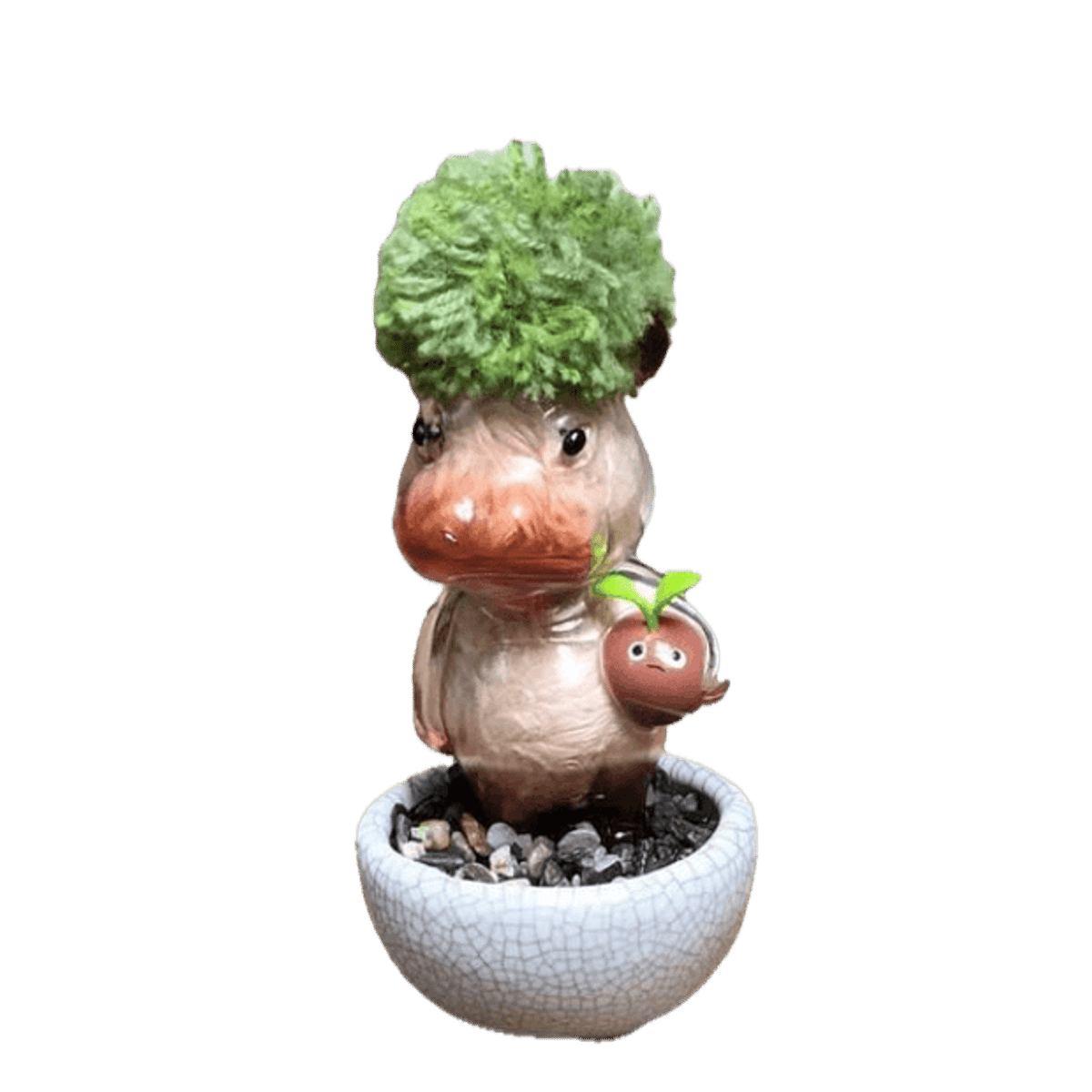  Bonsai Hibbo
