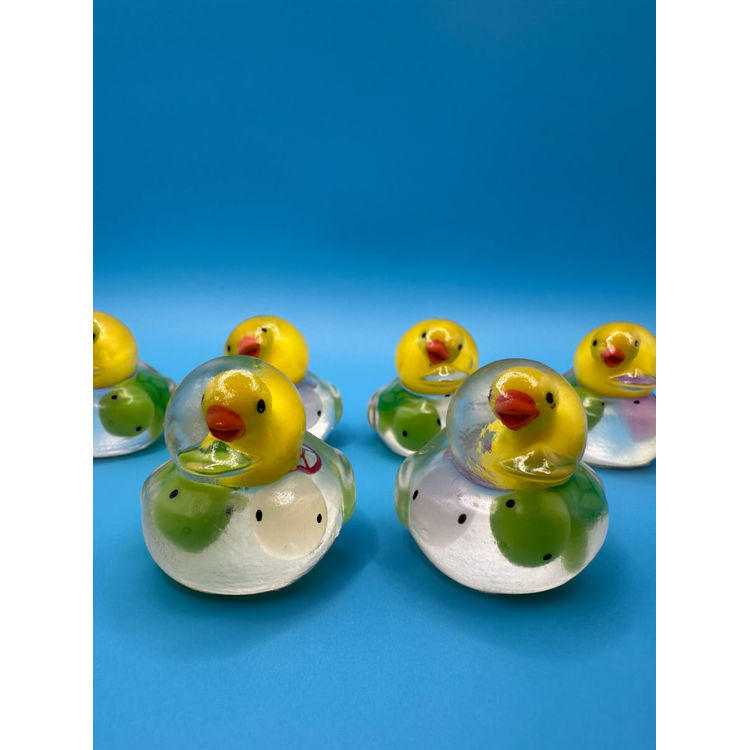 Rubber Ducky w/ turtles inside by Murd3rBird