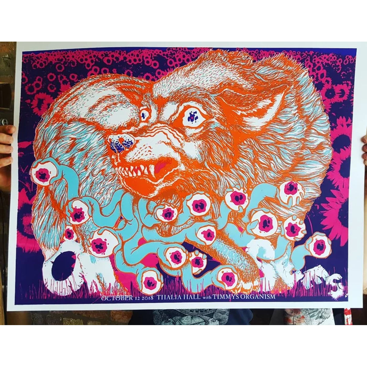 Oh Sees Thalia Hall 2018