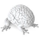 Jumping Brain
