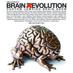 Brain Evolution