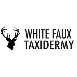 White Faux Taxidermy