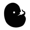 Monster Embryo