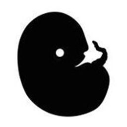 Monster Embryo