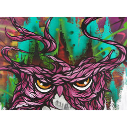 All Night Satellites