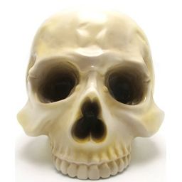 Skull Head