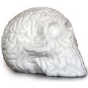 Skull Brain (Emilio Garcia)