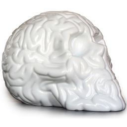 Skull Brain (Emilio Garcia)