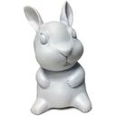 Usagi Bunny