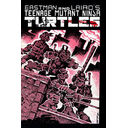 Teenage Mutant Ninja Turtle (TMNT)