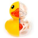 Rubber Ducky Anatomy