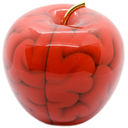 Forbidden Brain