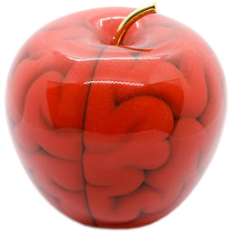 Forbidden Brain