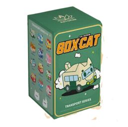 Box Cat : Transport