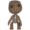 Sackboy