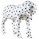 Jean Pierre Le Douche