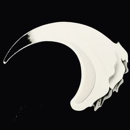 TIDE (Tatsuhiro Ide)