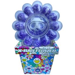 X-Ray Flower