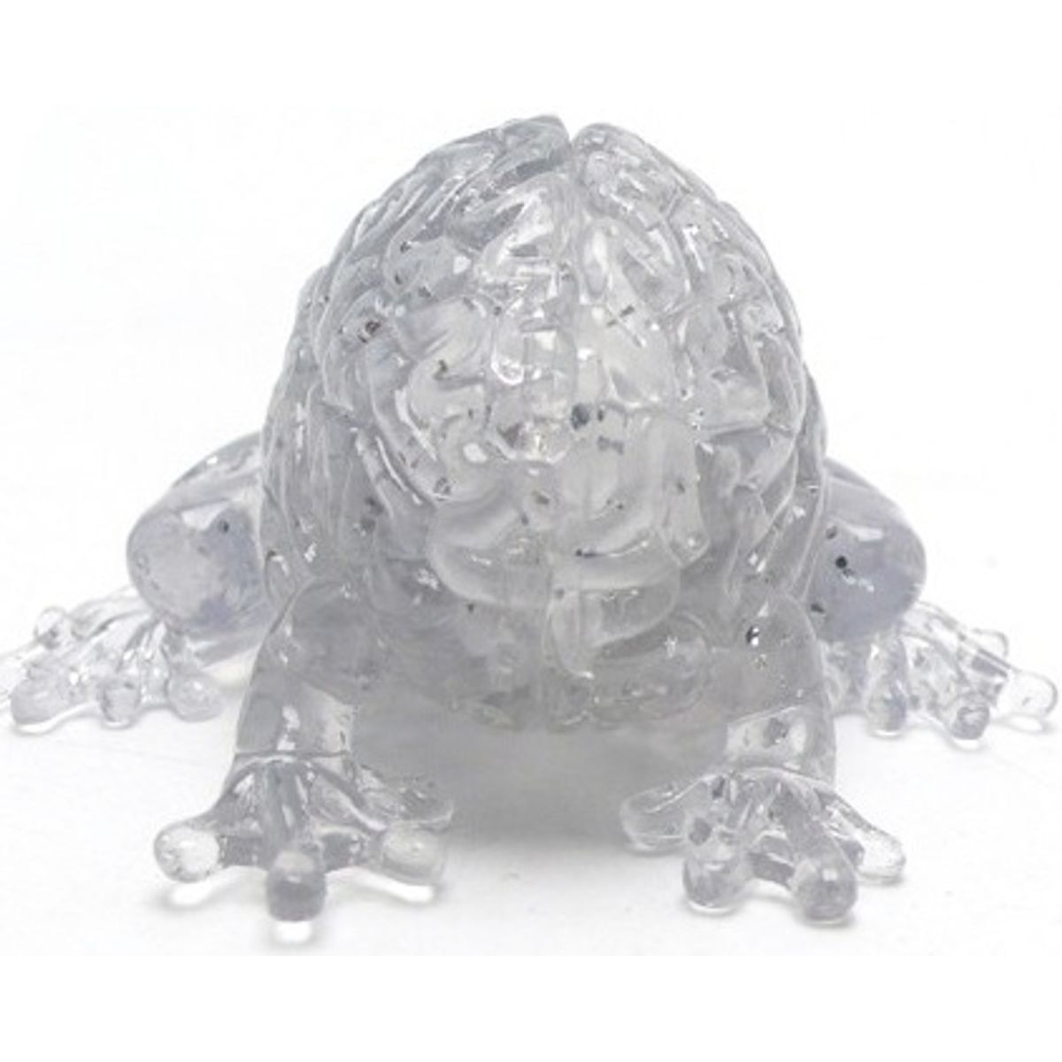 Jumping Brain - Clear