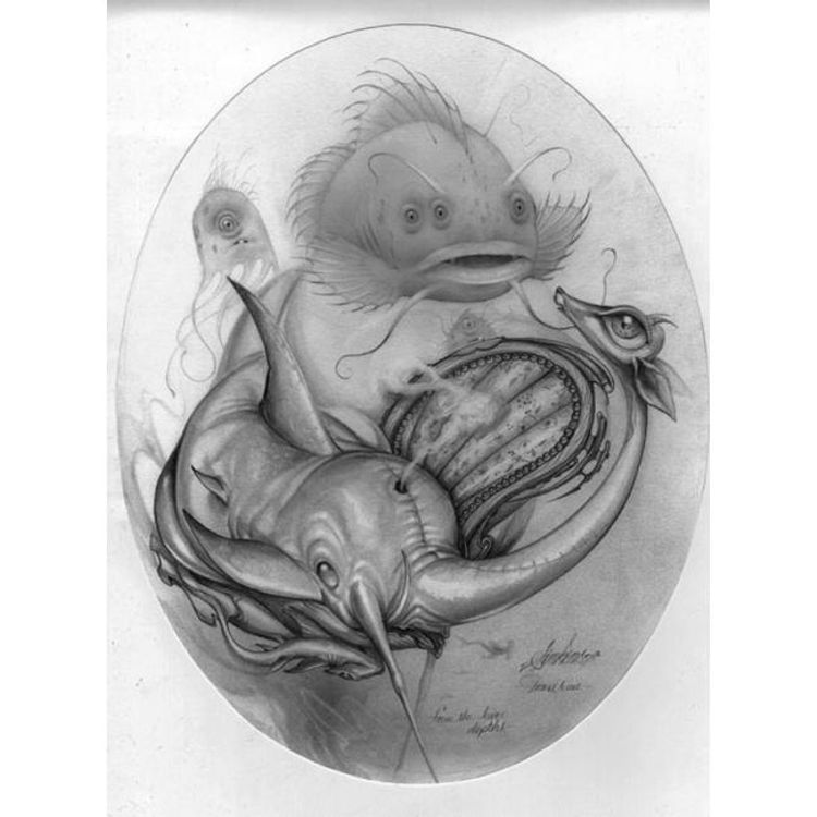 Craolvis by Craola (Greg Simkins)