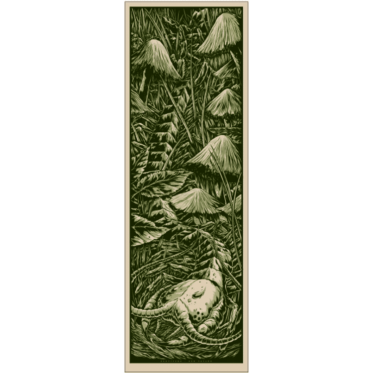 Centipede by Ken Taylor