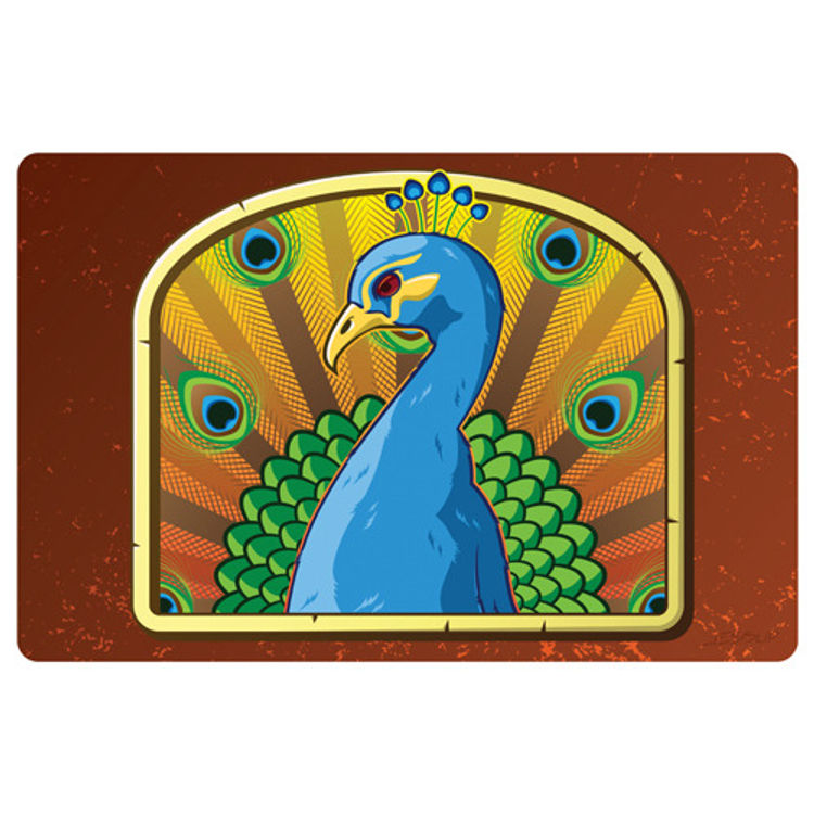 Peacock by Mr. Shane Jessup
