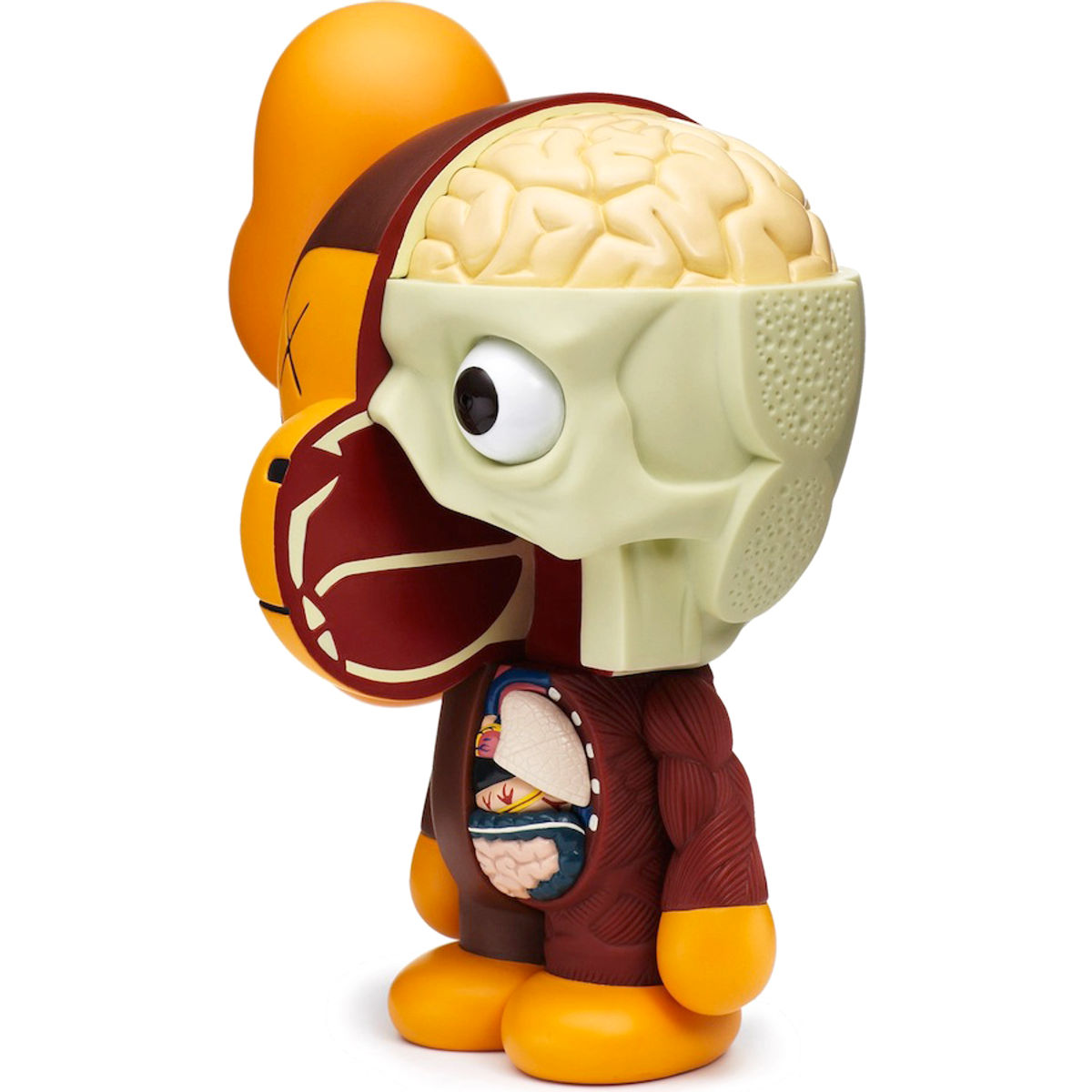 Brown Dissected Milo