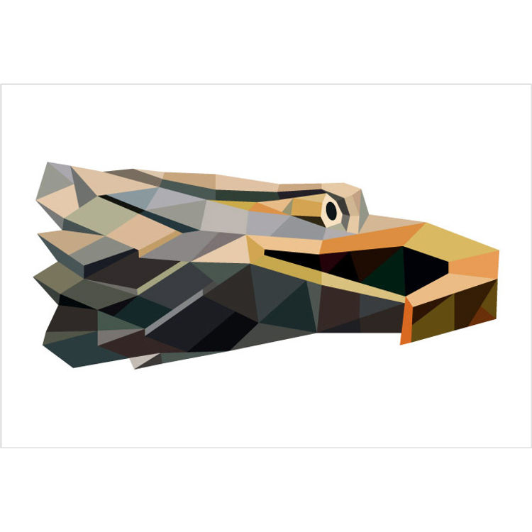 Eagle by Tim Biskup