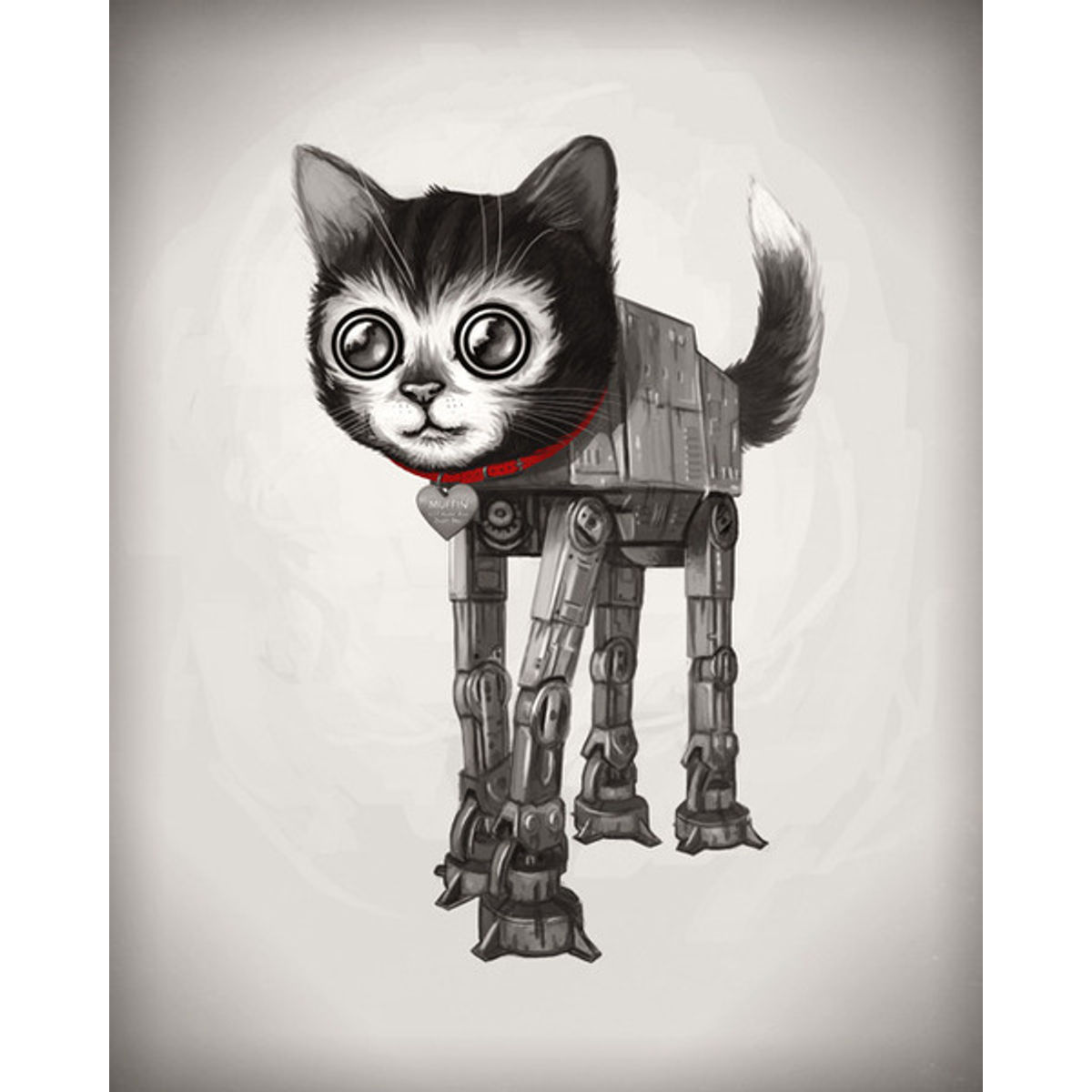 CAT-CAT
