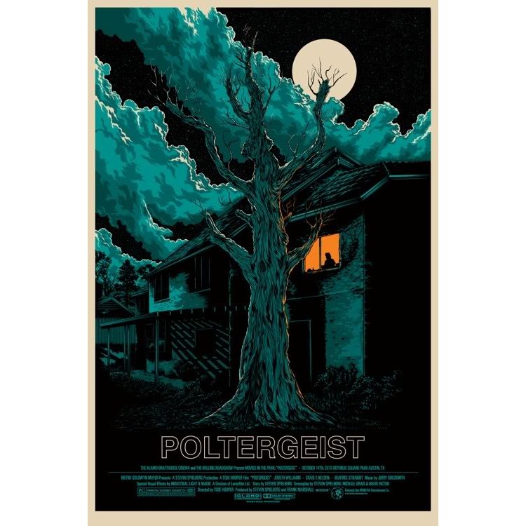 Poltergeist by Ken Taylor