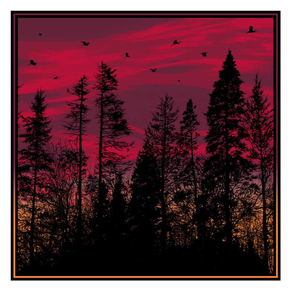 Big Birds Flying Across the Sky