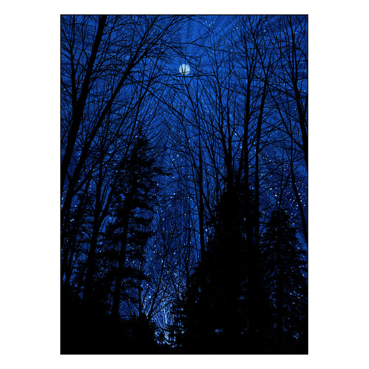 Cold Moon by Dan McCarthy
